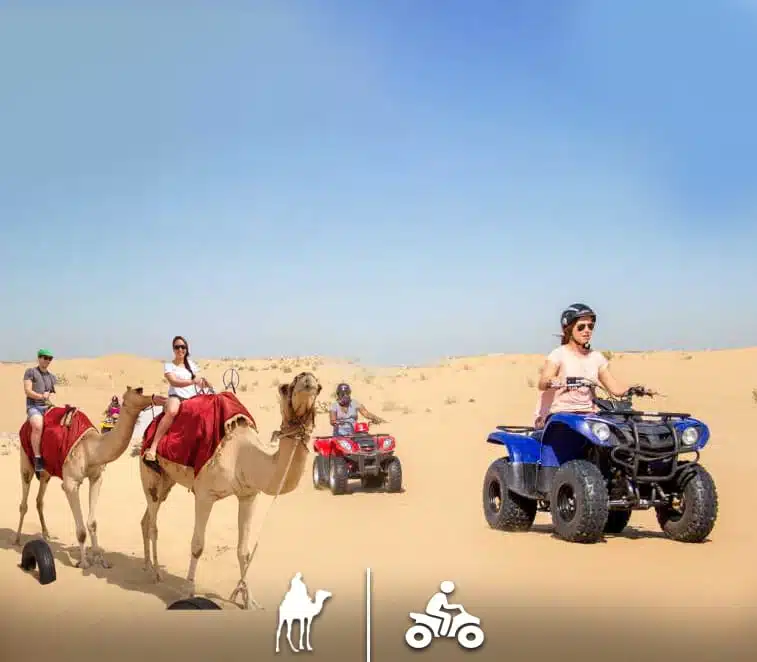 camel and quad bike combo deal